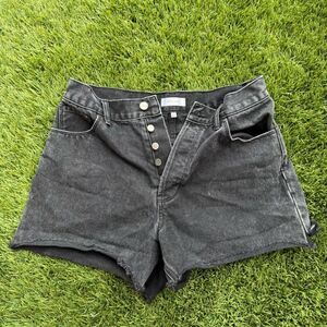 Anine Bing Shorts Sz 27